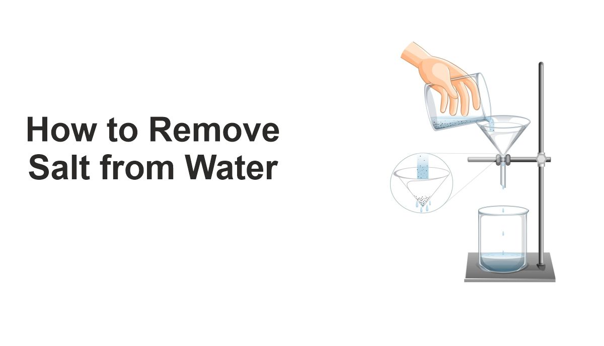 How to Remove Salt from Water
