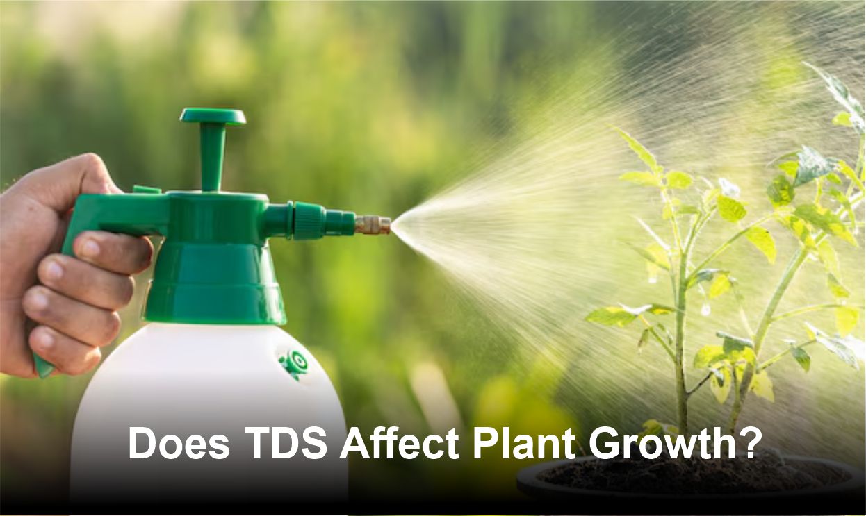 Does TDS Affect Plant Growth?