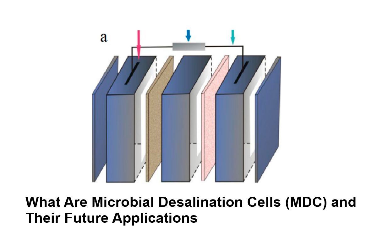 What Are Microbial Desalination Cells (MDC)