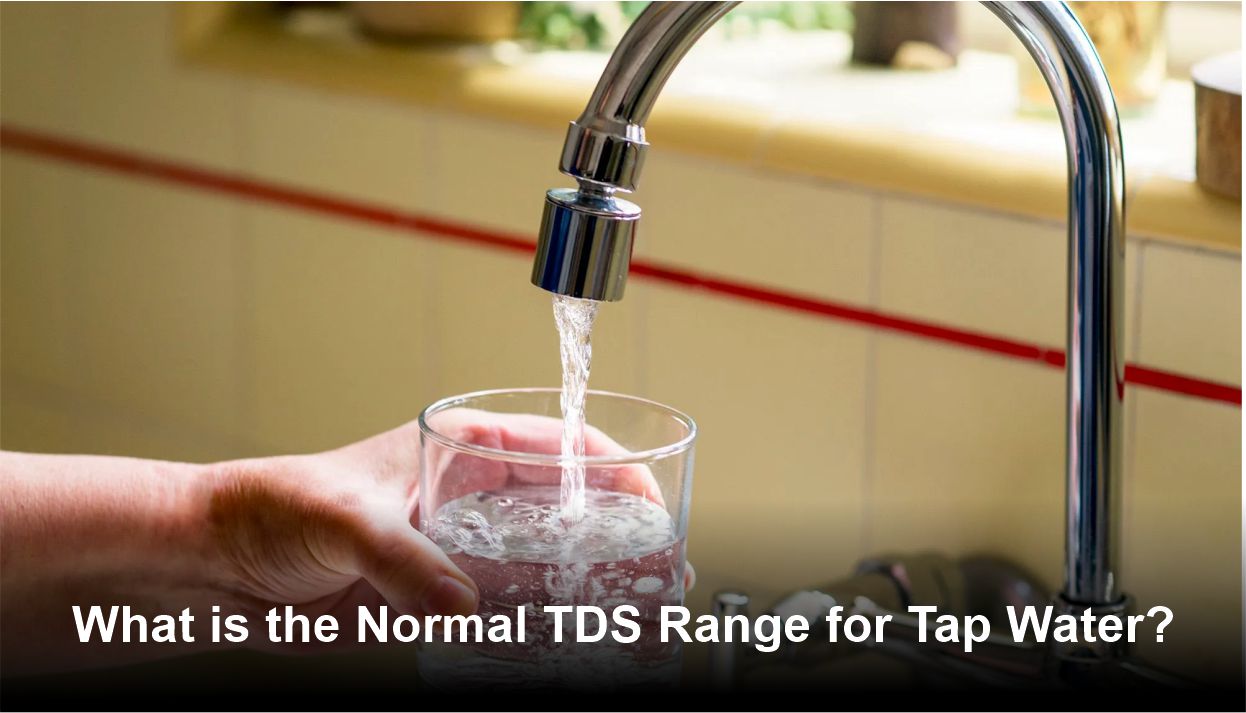 What is the Normal TDS Range for Tap Water?